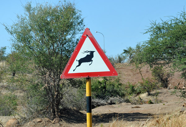Jumping kudu, the standard southern African wildlife crossing sign