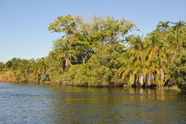 Okavango River, Botswana