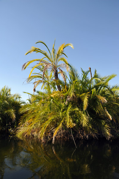 Okavango