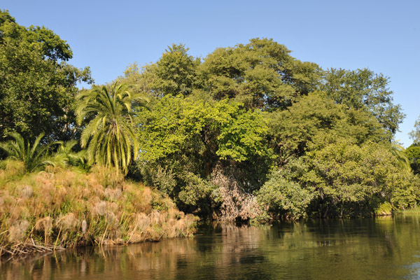 Northern Okavango near Seronga