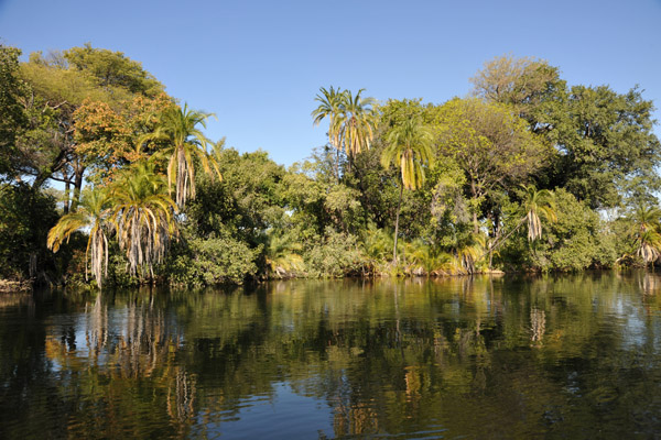 Northern Okavango near Seronga