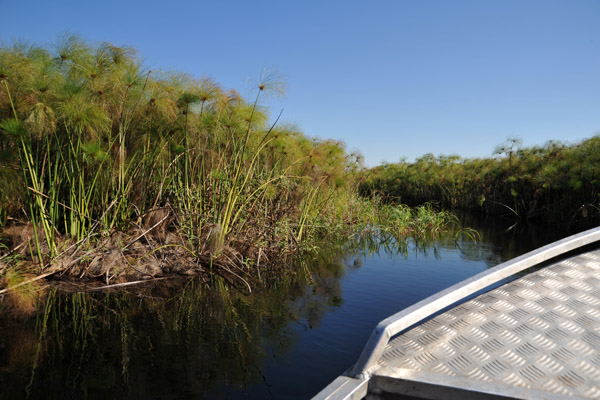 Channel cut through the papyrus swamps of the Northern Okavango Delta leading to Guma Lagoon