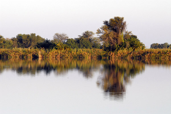 Guma Lagoon, Northern Okavango Delta, Botswana