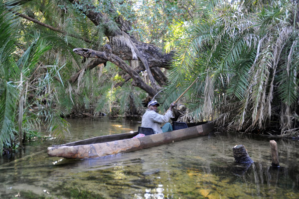 Mokoro, the dugout canoe traditionally used for transport around the Okavango