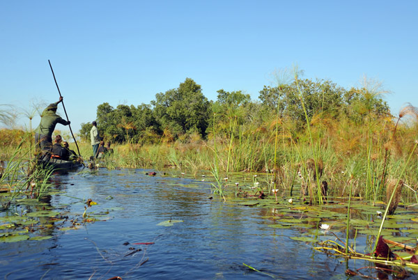 I was hoping to see some of the wildlife that makes the Okavango Delta famous...