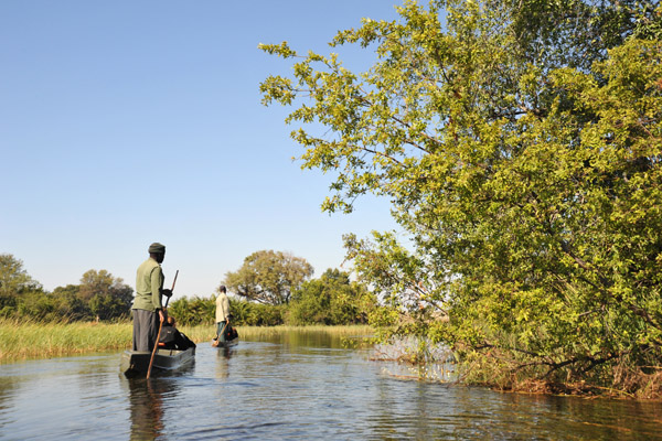 Okavango Delta by mokoro