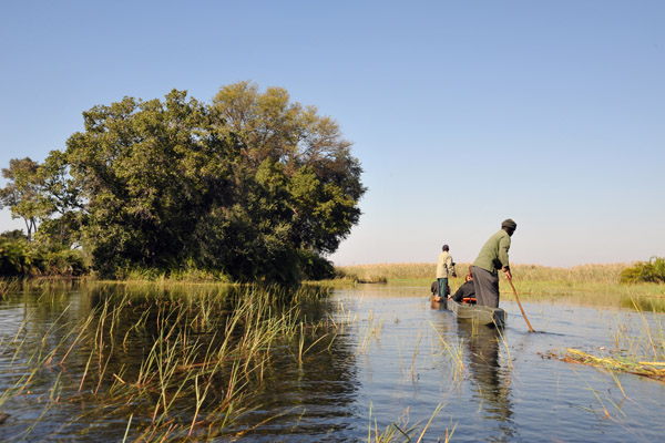 Okavango Delta by mokoro