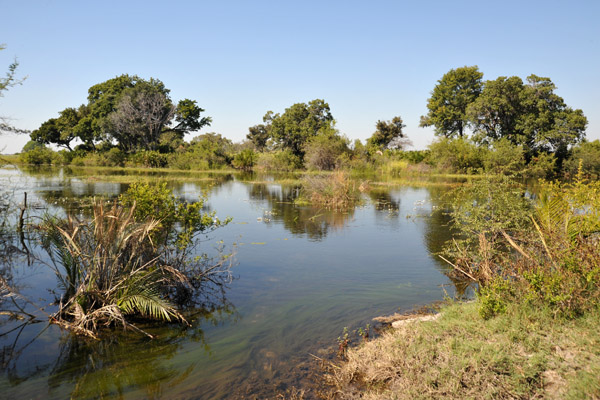 Northern Okavango Delta, Botswana