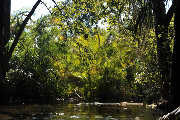 Okavango Delta