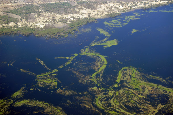 Chobe River, Chobe National Park, Botswana