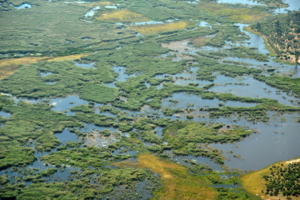 Wetlands near the Linyanti Gate, Chobe