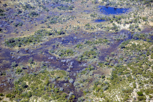 Flooded area between the Kwando and Okavango Rivers, Botswana