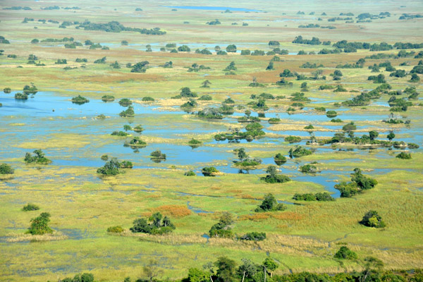Northern Okavango Delta, Botswana