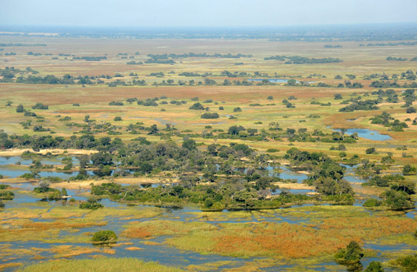 Higher ground with trees become islands when the Okavango floods each year