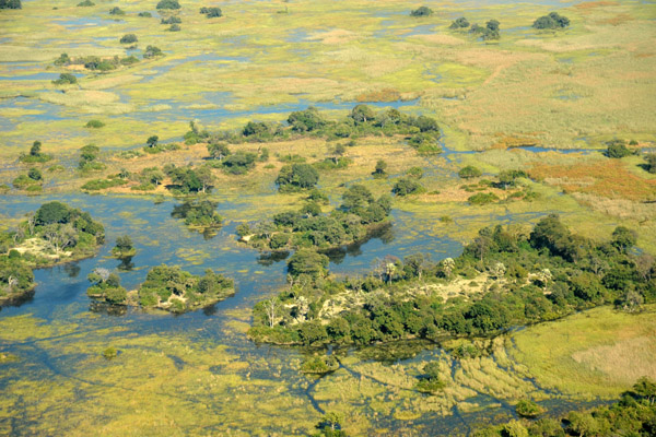 Islands formed by the flooding of the Okavango Delta