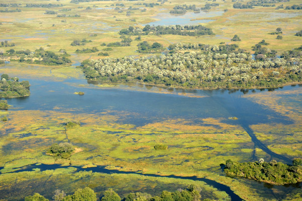 Okavango Delta during the annual flood, Botswana