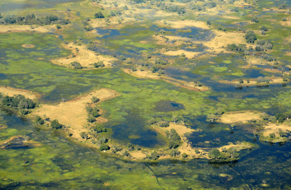Okavango Delta near Delta Camp, Botswana