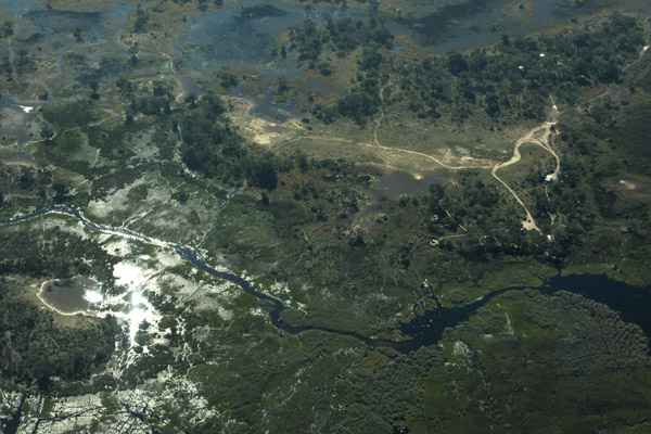 Moremi Game Reserve, Okavango Delta