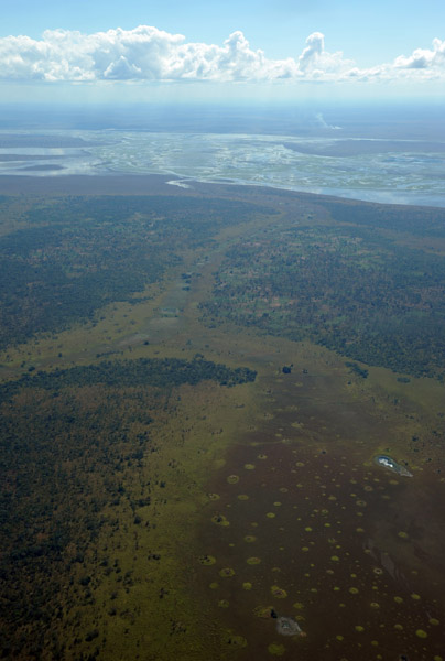 Where the Luapula River flows out of the Bangweulu Swamps