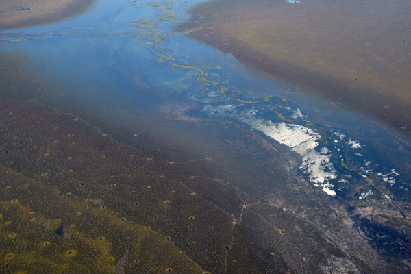 Tributary of the Luapula flowing into the Bangweulu Swamps (S12 10/E29 53)