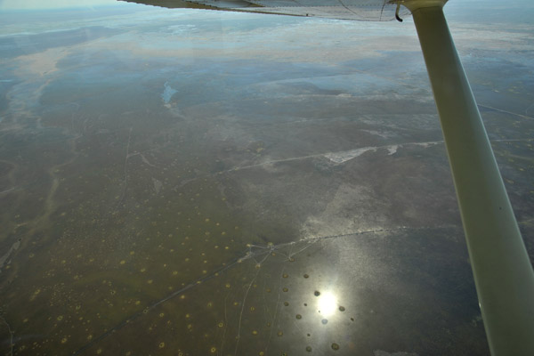 Overflying the Bangweulu Swamps of northeastern Zambia