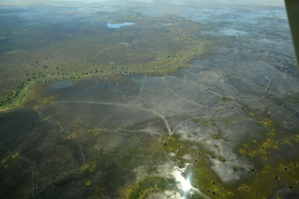 Tracks crisscrossing the Bangweulu Swamps, Zambia