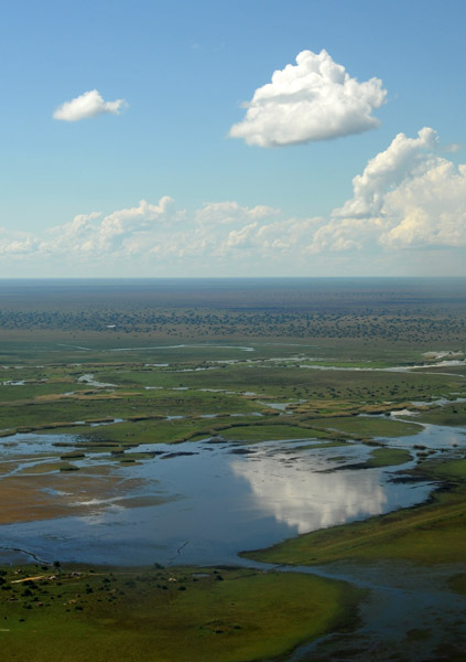 Cloud reflecting in the swamp waters, Bangweulu