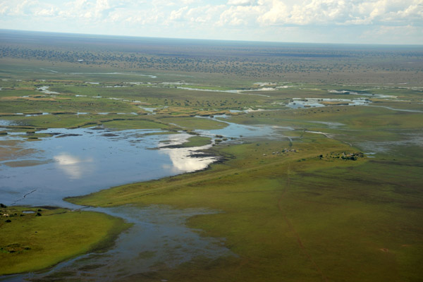 Chimbwi Airstrip on the edge of the Bangweulu Swamps near Shoebill Island Camp, Zambia