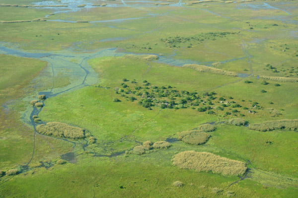 Shoebill Island Camp, Bangweulu Swamps, Zambia