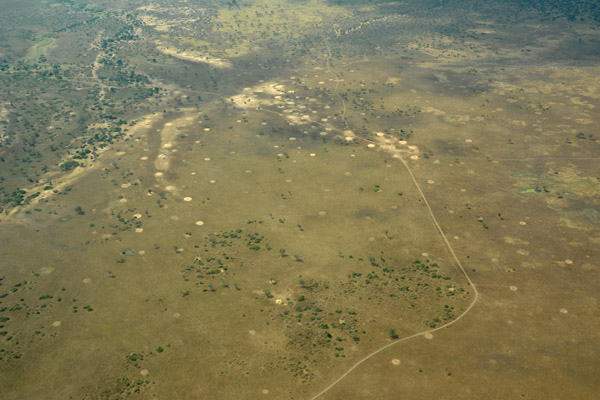 Road in South Luangwa National Park