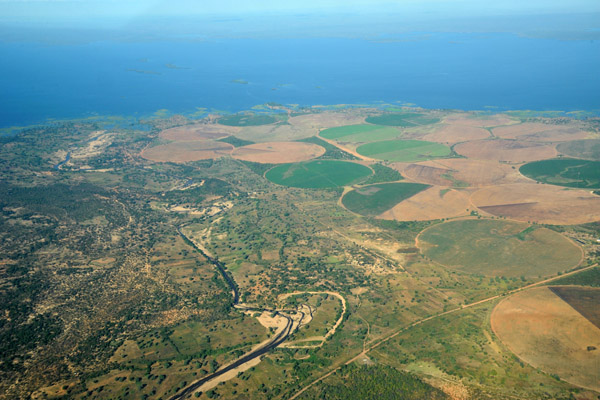 Irrigated fields at Sinazongwe on the Zambia side of Lake Kariba