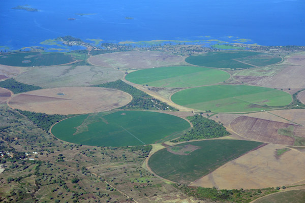 Irrigated fields at Sinazongwe on the Zambia side of Lake Kariba
