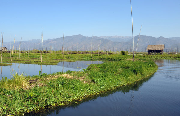 Floating Garden, Inle Lake