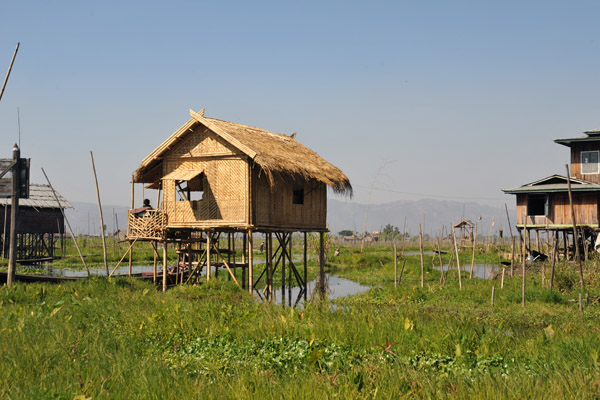 New-looking hut on stilts, Inle Lake