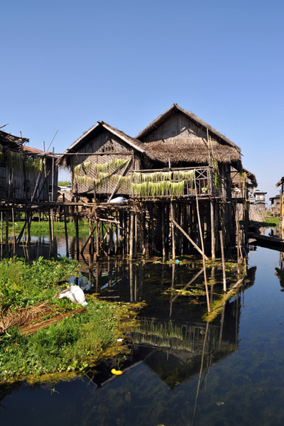 Stilt village, Inle Lake