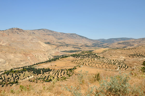 Scenery along the road to Ajlun Castle