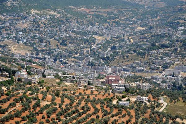 View from Ajlun Castle