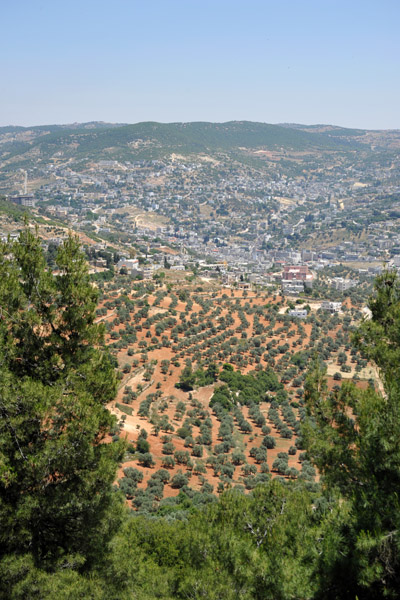 View from Ajlun Castle