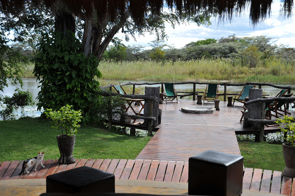 Beautiful deck at Camp Kwando overlooking the river