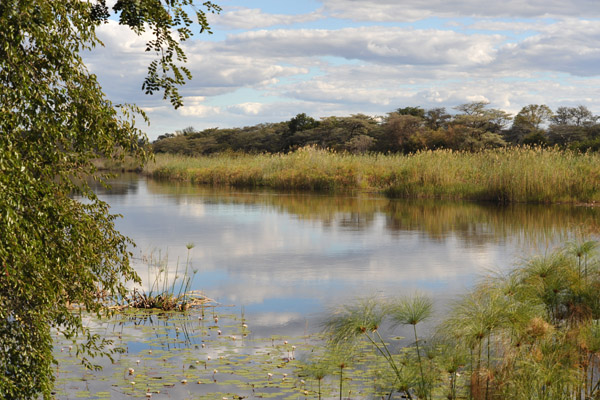 Looking across the Kwando River to Botswana