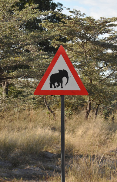 Elephant Crossing - Caprivi Strip, Namibia