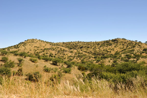 Daan Viljoen Game Park, Windhoek