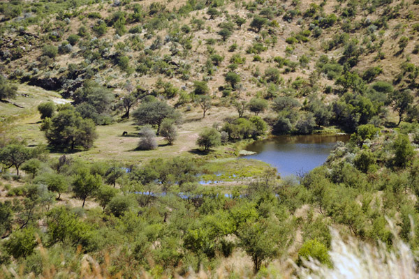 Daan Viljoen Game Park, Windhoek