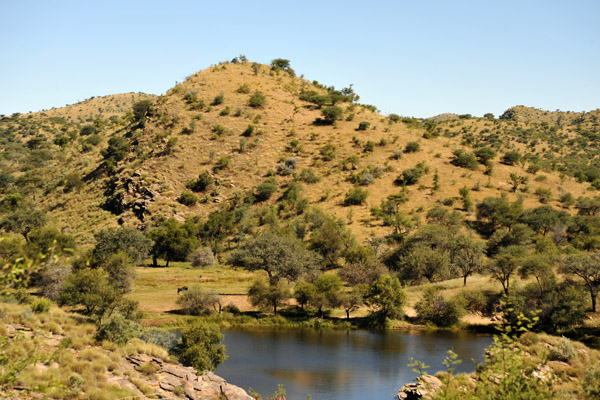 Waterhole, Daan Viljoen Game Park