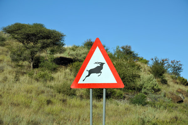 Wildlife Crossing, Trans-Kalahari Highway