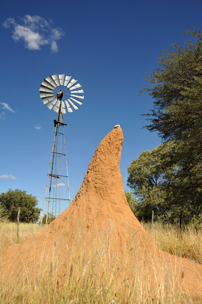 Termite mound and windhill, Eureka