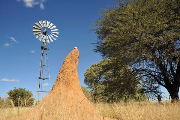 Termite mound and windhill, Eureka