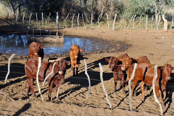 Farm Eureka, Namibia