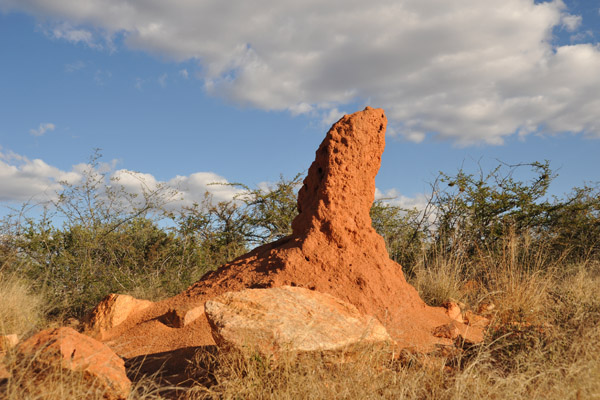 Termite mound, Otjisondu