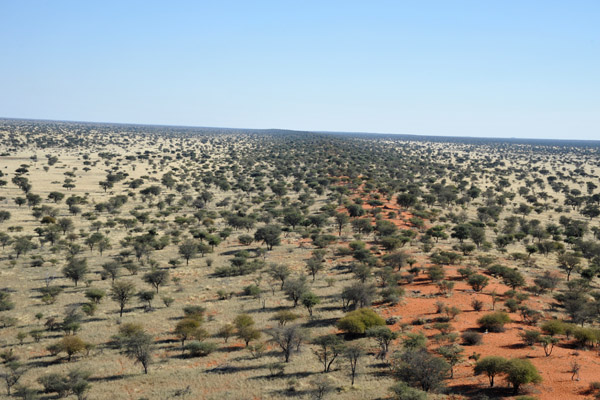 Farm Olifantwater West, Namibia